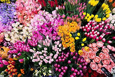 Project K正式定名为《符文战场》：英雄联盟官方实体卡牌游戏登场